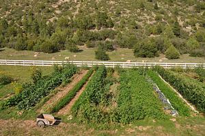 UWC USA Agroecology Research Center