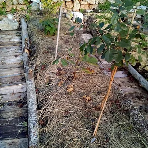 Agroecologia alla Mini Fattoria 1