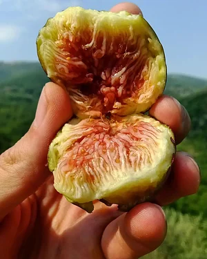 Agroecologia alla Mini Fattoria 2