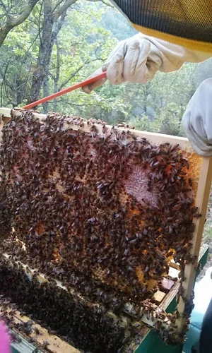 Agroecologia alla Mini Fattoria 10