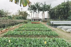 Green Sustainability in Ba Sian 1