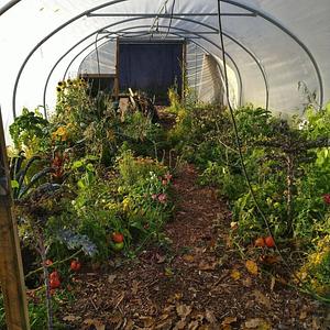 Finch Agroecology