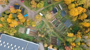 Finch Permaculture Experiment 1