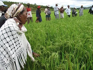 Wageningen Agroecological Experiments 7