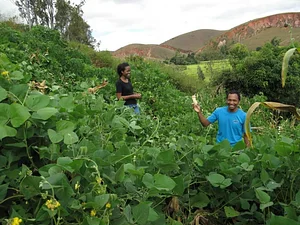 Wageningen Agroecological Experiments 9