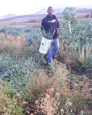Permaculture Farm in Numbi Valley