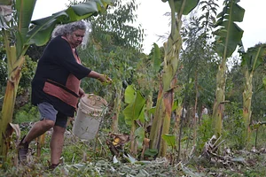 Growing Roots Permaculture Experiences 1