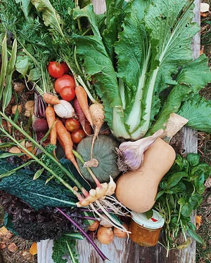 Learning and exploring Agroecology through doing
