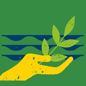 Uc Santa Cruz Center For Agroecology