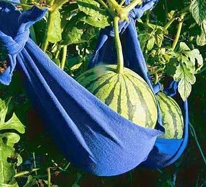 Marda Permaculture Farm