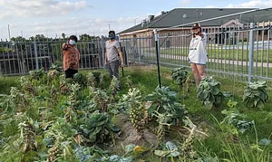 UTRGV Agroecology Program