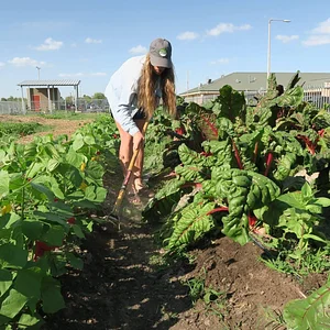 UTRGV Agroecology Program