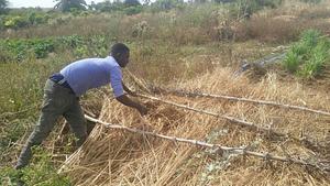 Ferme Agro-Écologique Diandjo