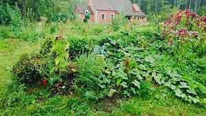 La Ferme Biologique du Bec Hellouin