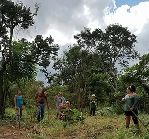 Agrofloresta na Ecovila Conviver 3