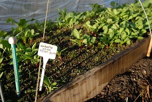 Permaculture du Bec Hellouin