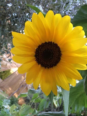 Marda Permaculture Farm