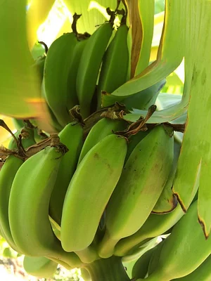 Marda Permaculture Farm