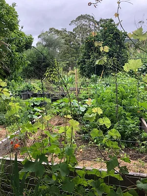 Gardenfarm Permaculture