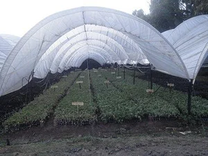 MOOF Africa Permaculture Kenya