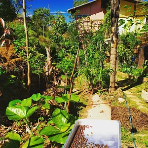 Horta do Sítio Nós na Teia