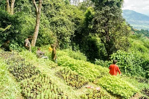 Sustainable Agriculture Tanzania Experiences.