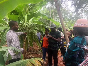 Sustainable Agriculture Tanzania Experiences