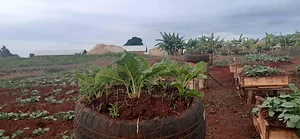 Sustainable Agriculture Tanzania Experiences