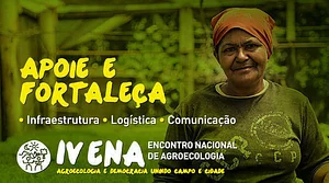 IV ENA