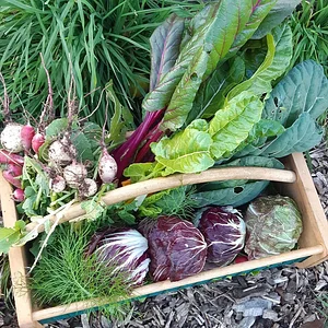 Arcadia Permaculture Farm