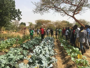 Taaru Askan Farm