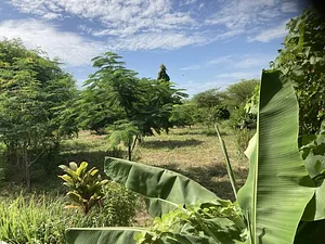 Taaru Askan Farm