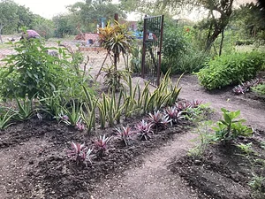 Taaru Askan Farm