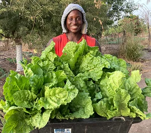 Happy harvest