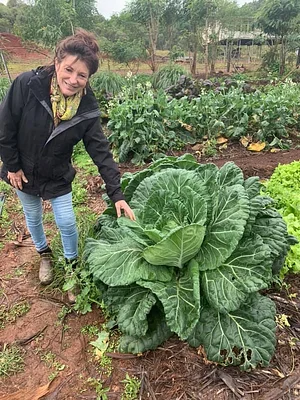 High Valley Dawn Permaculture Farm Yeppoon