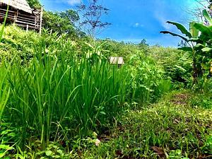 Sahainan Permaculture Organic Farm