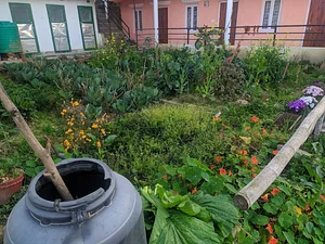 HASERA Permaculture Farm