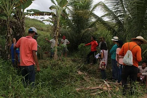 Flores de Ximenes 5