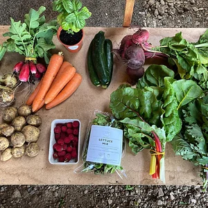 Ecological Land Cooperative Farmers
