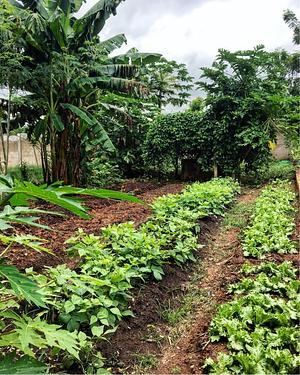 LE FIÉ ferme bio & co