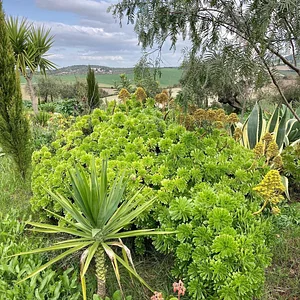 Danyadara Permaculture Farm