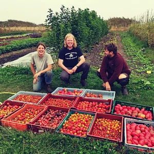 East Neuk Market Garden