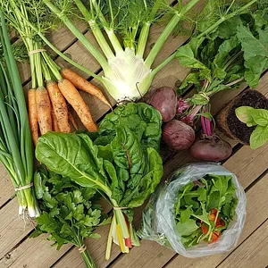 East Neuk Market Garden