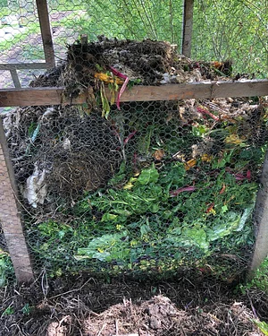 East Neuk Market Garden