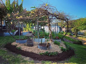 Limestone Permaculture Farm