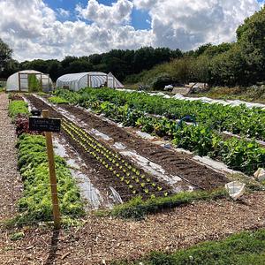 Ecological Land Cooperative