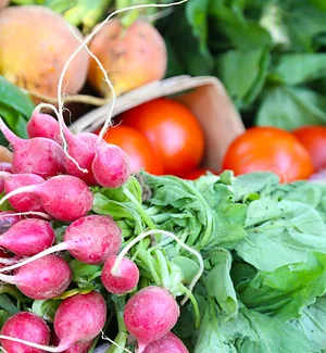 Delaterre Permaculture Farm