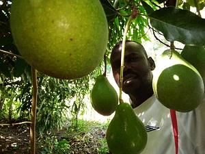 Olambo's Organic/Permaculture Farm
