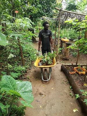 Ferme Aménopé Togo