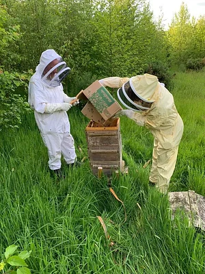 Mere Brow Farm Cheshire Permaculture Project